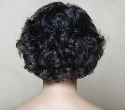 Short Thick Curly Hairstyle Back Look