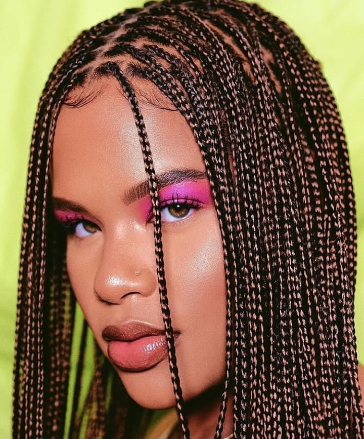 Center Parted Box Braid Hairstyle
