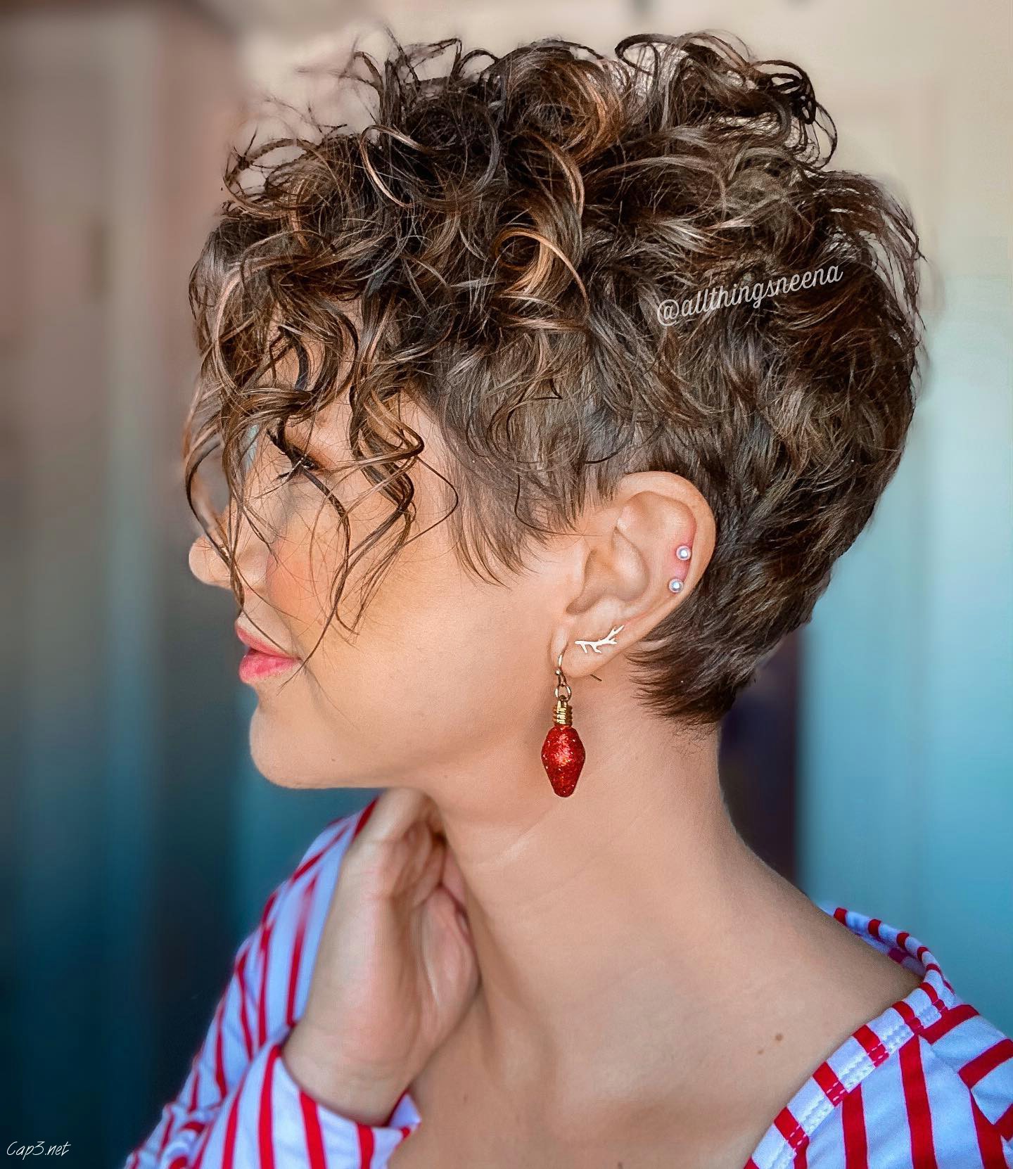 Light Brown Pixie Curly Hair