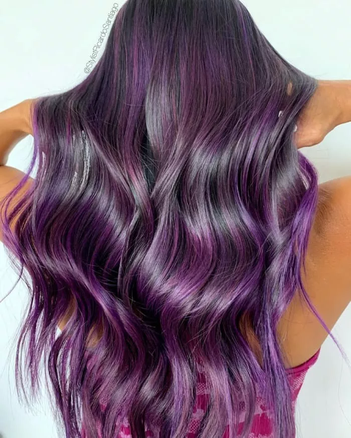 Purple and Black Hair